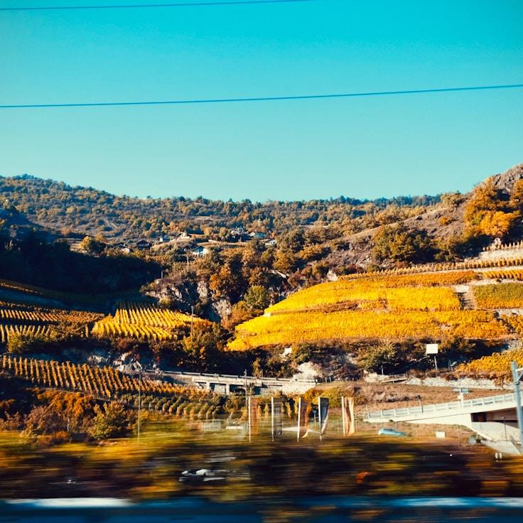 Outdoor terrace seating suitable for families in Lyon
