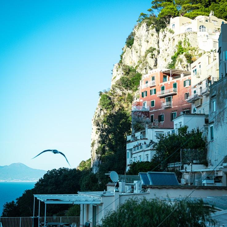 Family-friendly dining with comfortable seating